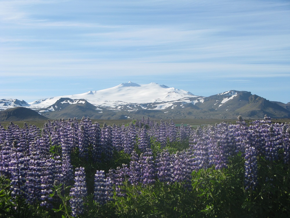 Snaellsjökull Islande