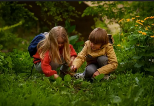 Enfance et nature