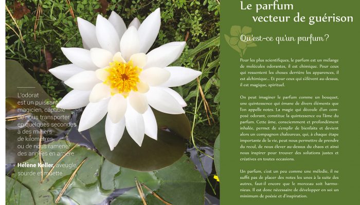 La guérison
