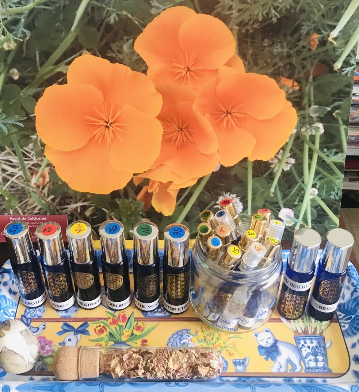 14 Parfums